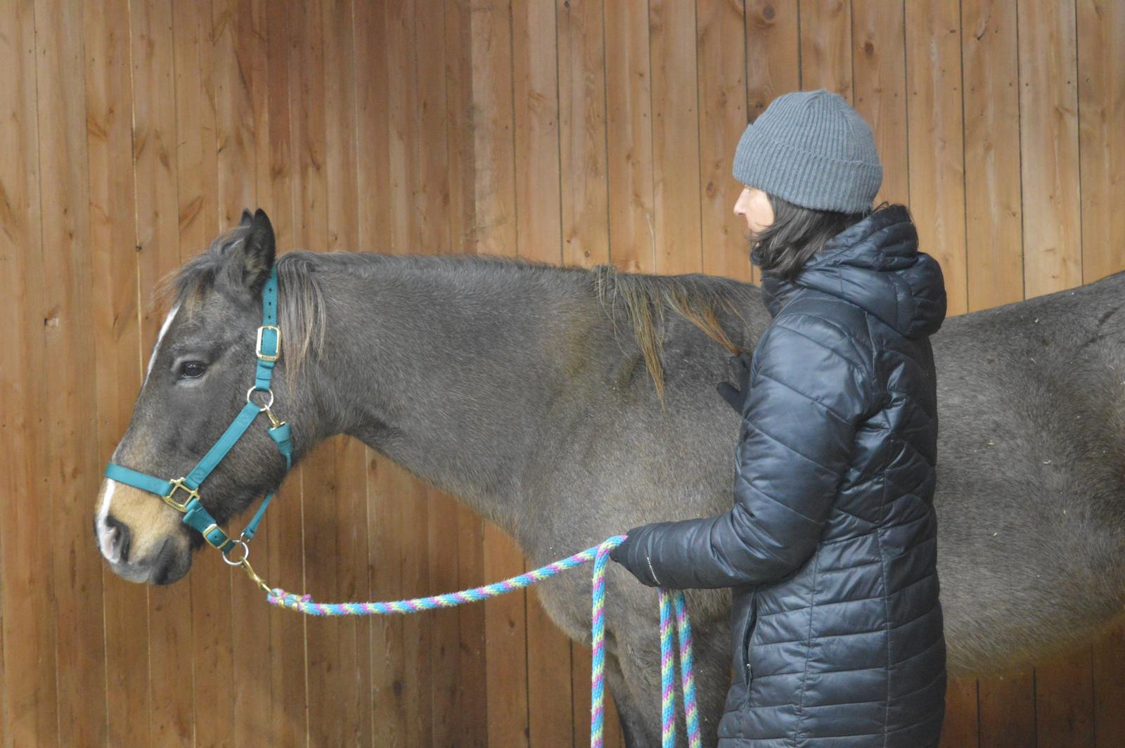 Yolaine Turcotte, la main posée derrière l'épaule d'un cheval, pendant une séance de relaxation consciente