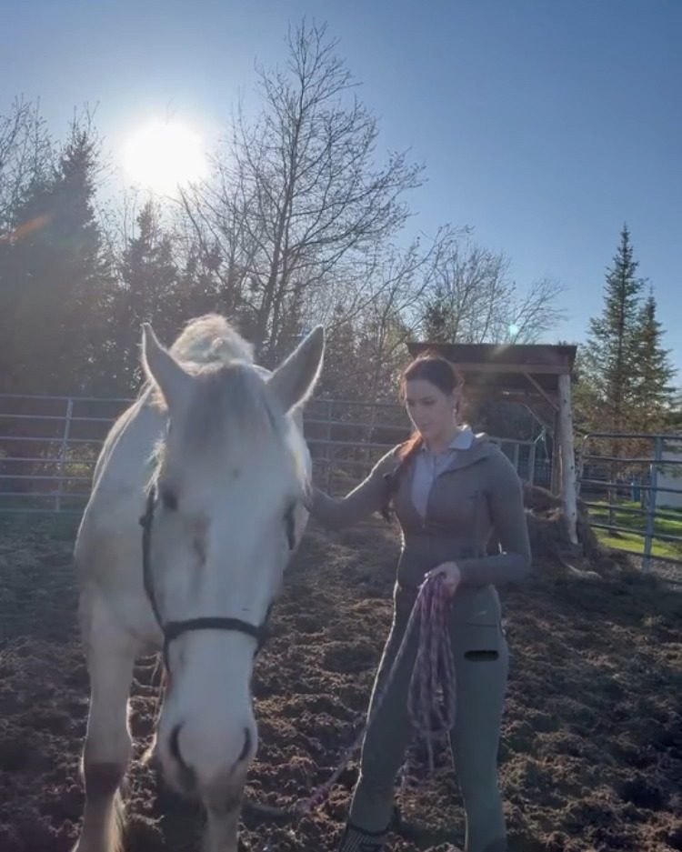 Galant, cheval blanc, avec sa propriétaire dans un enclos ensoleillé