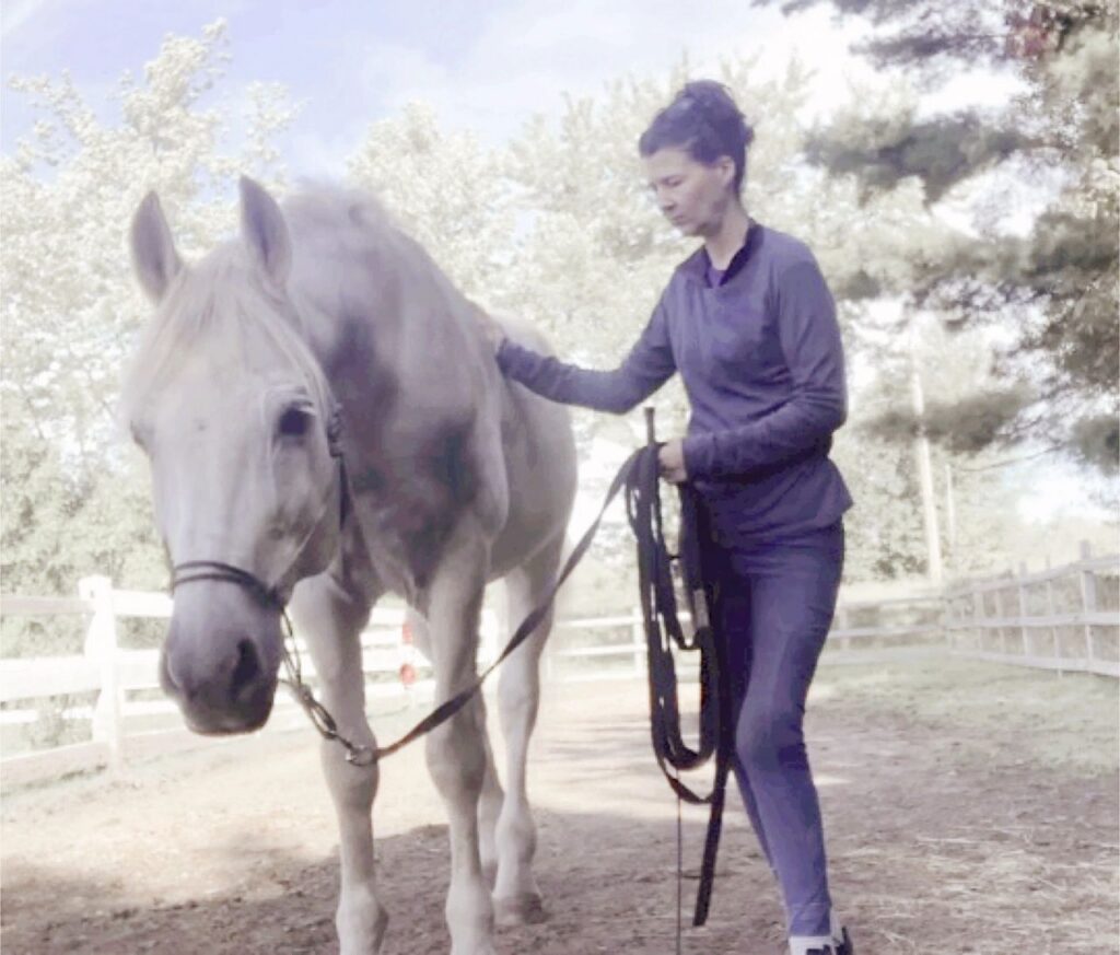 cheval detendu avec sa proprietaire